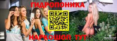 амф Будённовск